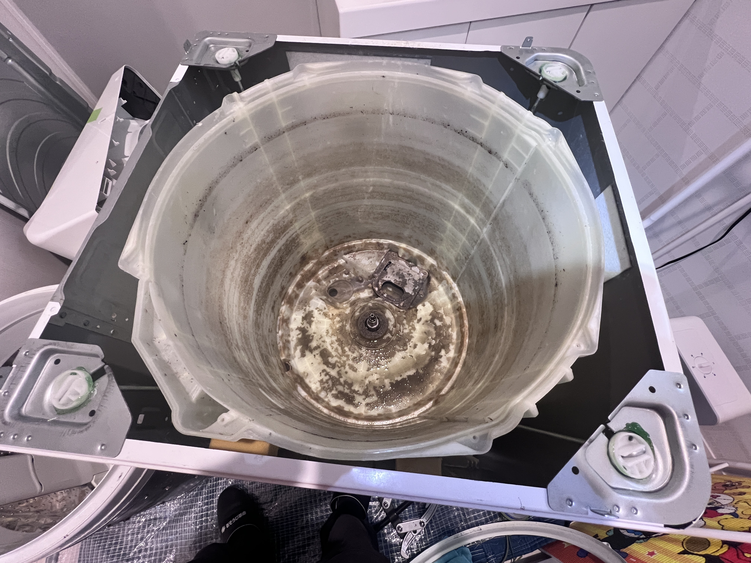 縦型洗濯機のパルセーターや洗濯槽を分解している様子