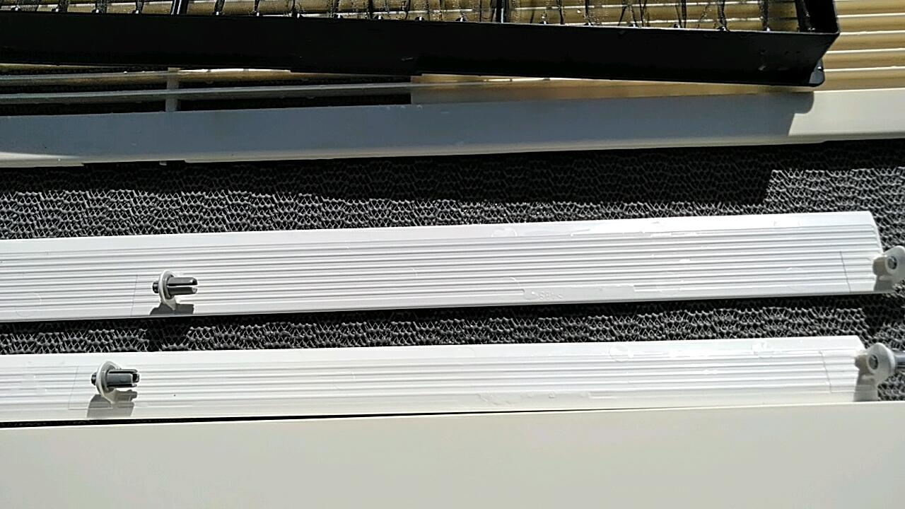 20181025_123721_336.jpg