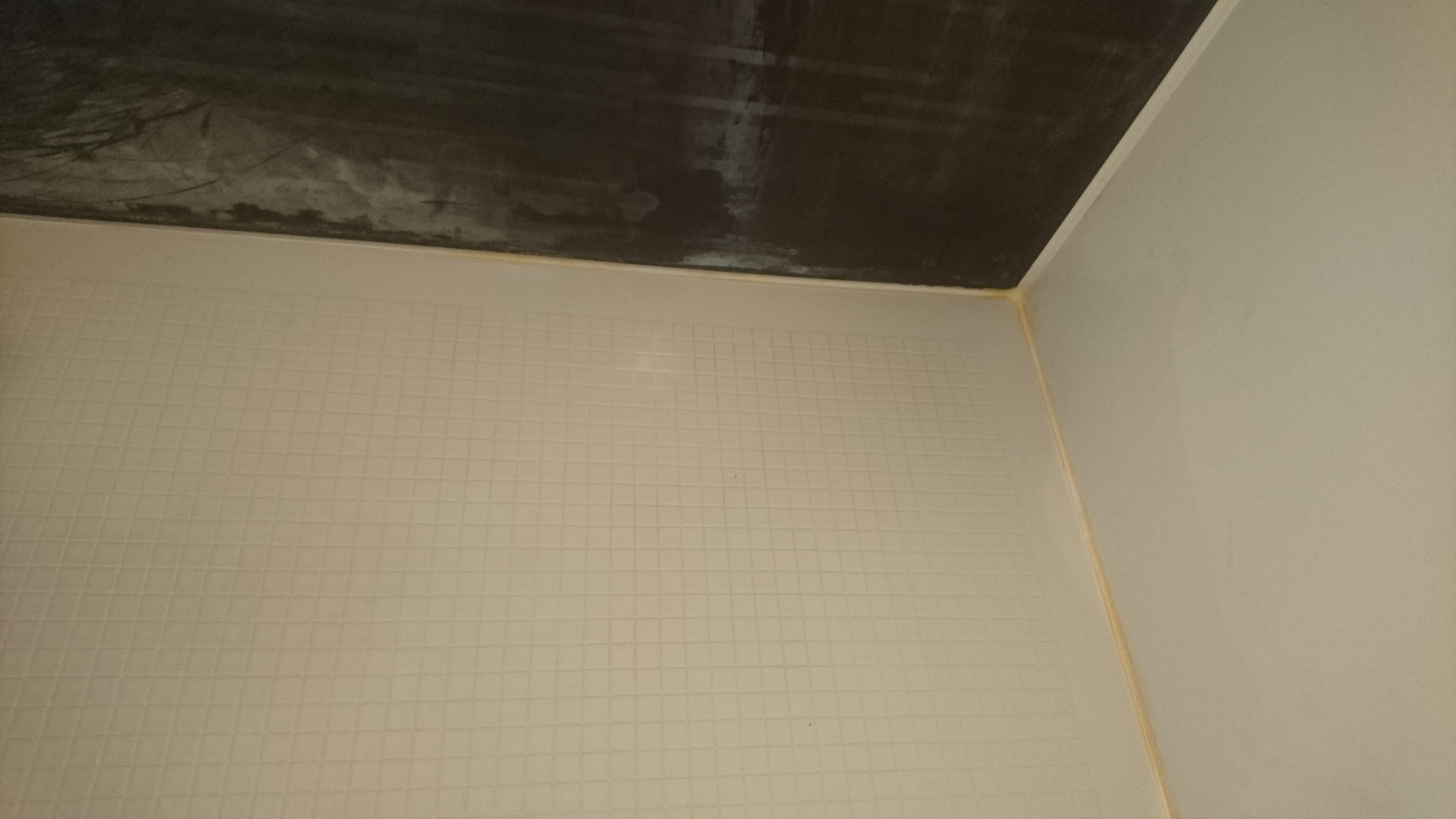 DSC_2011.JPG