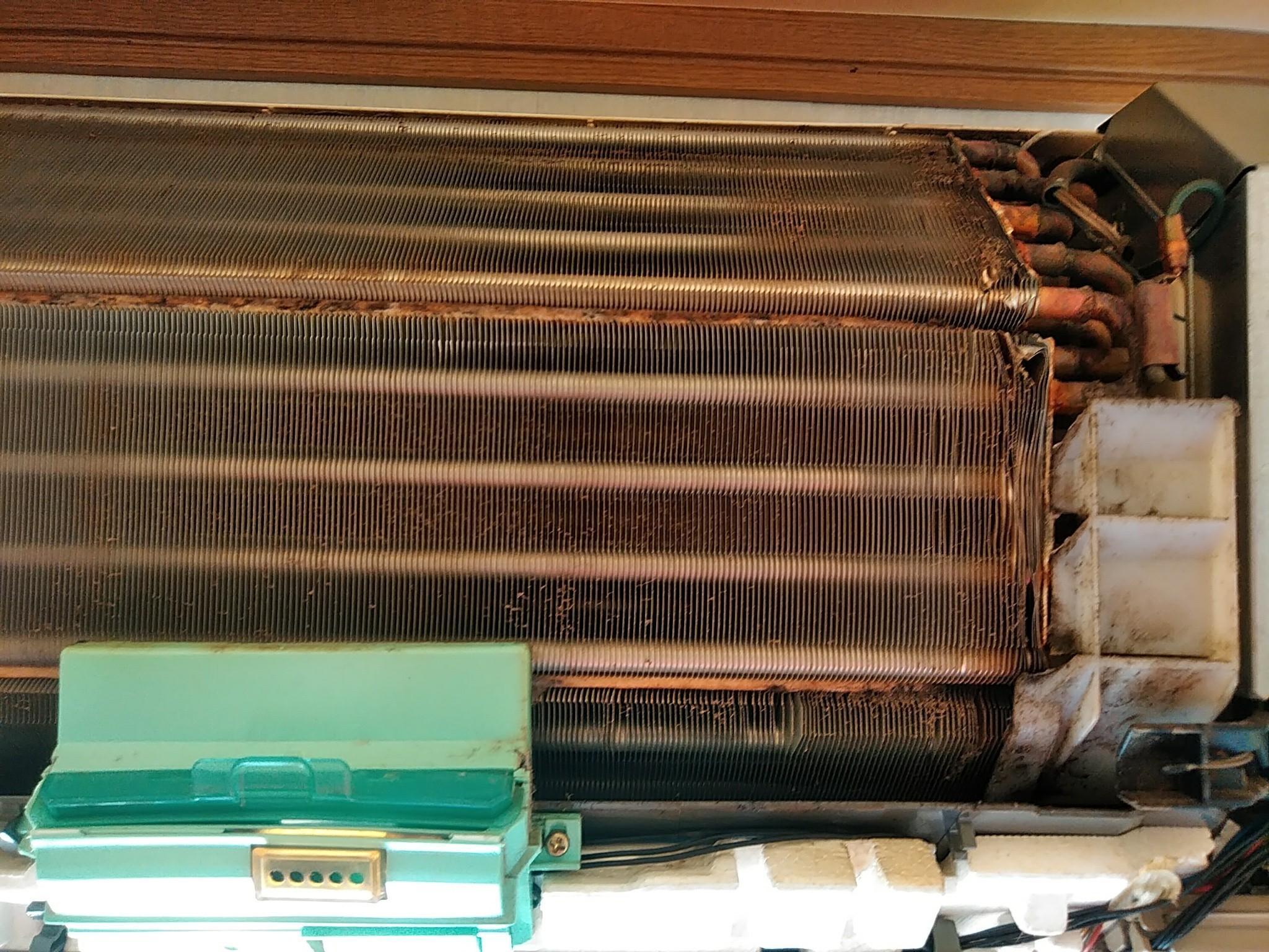 20180601_180601_0010.jpg