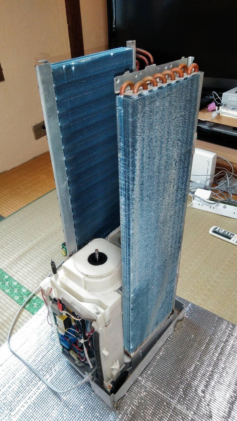 5303.jpg