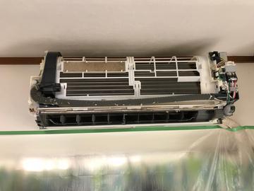 渋谷広尾店 アレルゲン 洋服の虫食い穴あき原因 エアコンの中に虫がいる 衣替えの前にエアコンクリーニング ハウスクリーニングのことならおそうじ革命