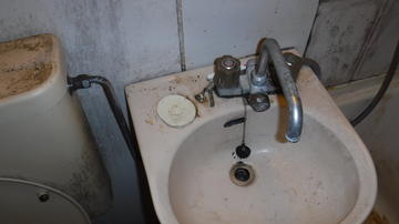 DSCF4233.JPG