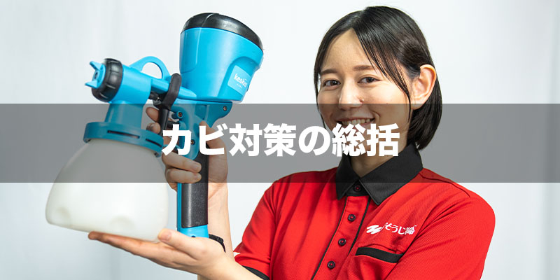 カビ対策の総括