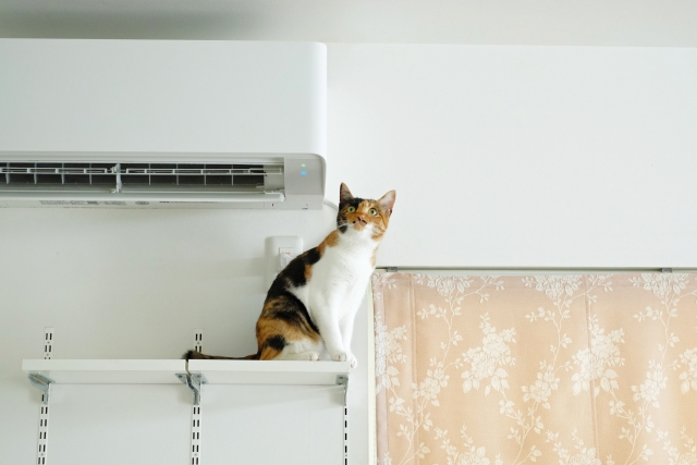 エアコンクリーニング　選び方