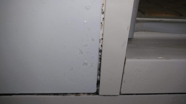 大阪中央区本町店 カビ取り プロがオススメするカビ取りのポイントとは 浴室編 ハウスクリーニングのことならおそうじ革命