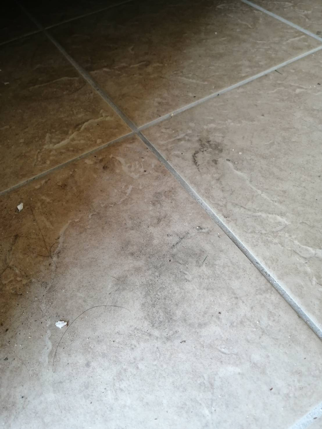 埼玉春日部店 玄関の黒ずみを落とす方法 ハウスクリーニングのことならおそうじ革命 埼玉春日部店 玄関の黒ずみを落とす方法 ハウスクリーニングのことならおそうじ革命