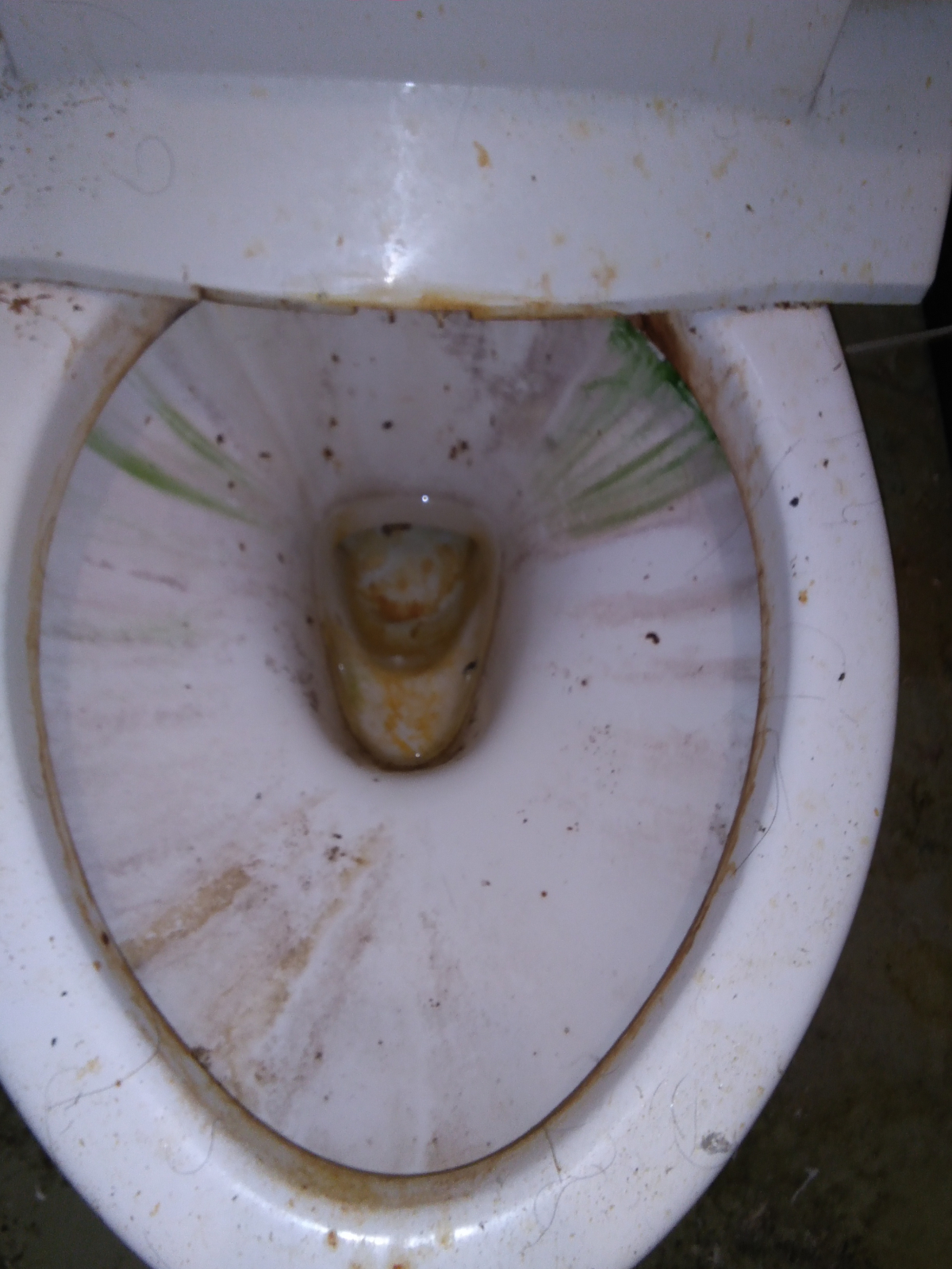 石川金沢西店 閲覧注意 食事中の方 汚い画像があります トイレ掃除 一人一人のお客様を大切に ハウスクリーニングのことならおそうじ革命