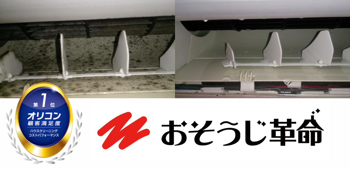 エアコンクリーニング前後のエアコン内部のビフォーアフター：カビとホコリの除去（東京都北区）