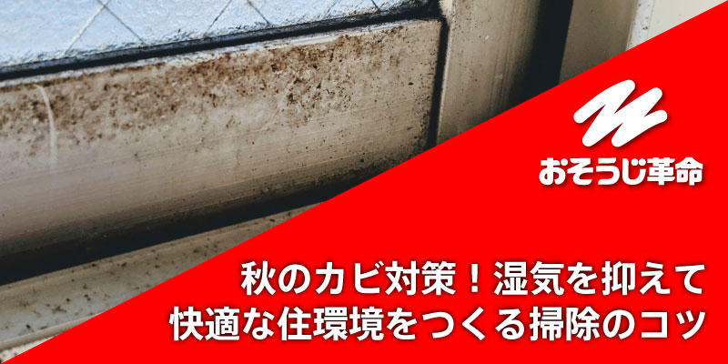 秋のカビ対策！湿気を抑えて快適な住環境をつくる掃除のコツ
