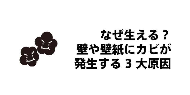 なぜ生える？壁や壁紙にカビが発生する3大原因