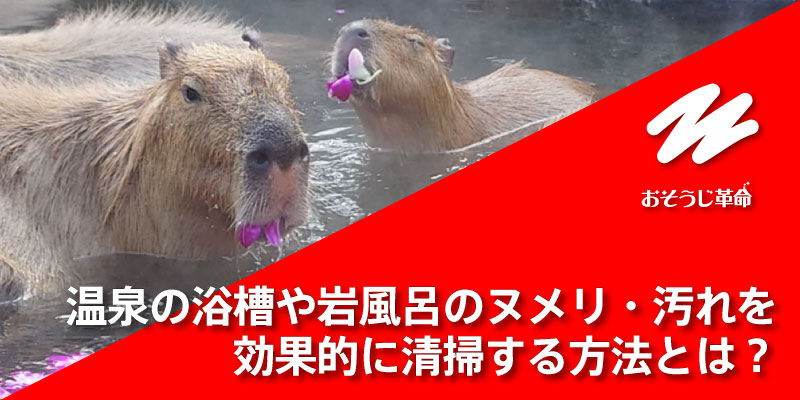 温泉の浴槽や岩風呂のヌメリ・汚れを効果的に清掃する方法とは？