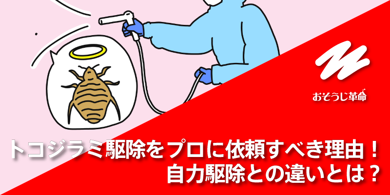 トコジラミ駆除をプロに依頼すべき理由！自力駆除との違いとは？