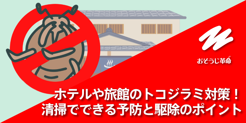 ホテルや旅館のトコジラミ対策！清掃でできる予防と駆除のポイント
