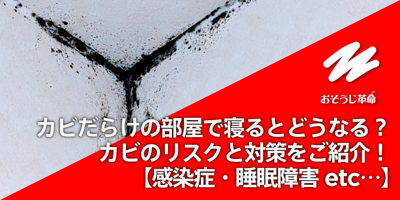 カビだらけの部屋で寝るとどうなる？カビのリスクと対策をご紹介！【感染症・睡眠障害etc…】