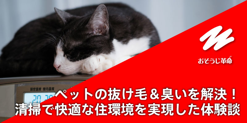 ペットの抜け毛＆臭いを解決！清掃で快適な住環境を実現した体験談