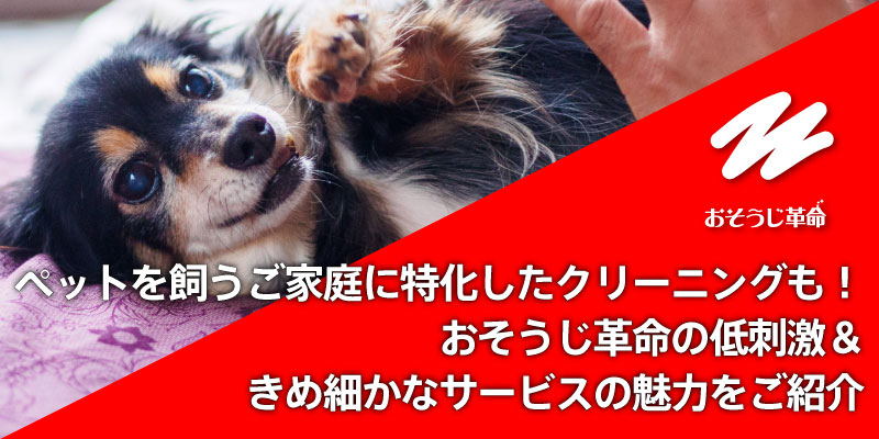 ペットを飼うご家庭に特化したクリーニングも！おそうじ革命の低刺激＆きめ細かなサービスの魅力をご紹介