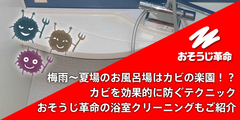 梅雨〜夏場のお風呂場はカビの楽園！？カビを効果的に防ぐテクニック｜おそうじ革命の浴室クリーニングもご紹介