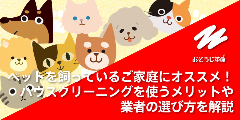 ペットを飼っているご家庭にオススメ！ハウスクリーニングを使うメリットや業者の選び方を解説