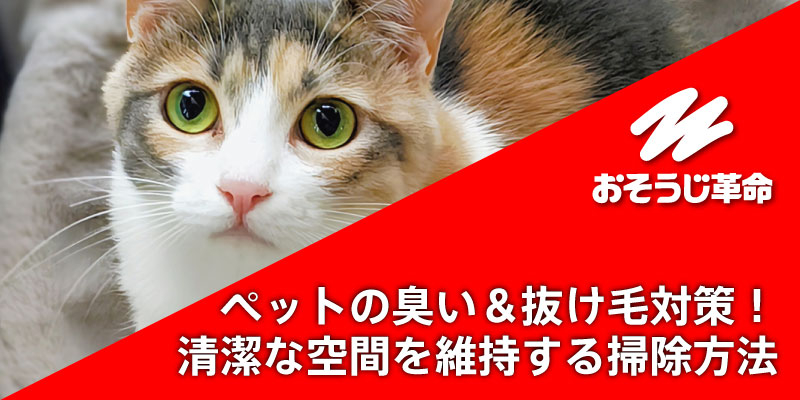 ペットの臭い＆抜け毛対策！清潔な空間を維持する掃除方法