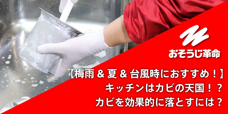 【梅雨&夏&台風時におすすめ！】キッチンはカビの天国！？カビを効果的に防除するには？｜清潔な環境を作るおそうじ革命のキッチンクリーニング