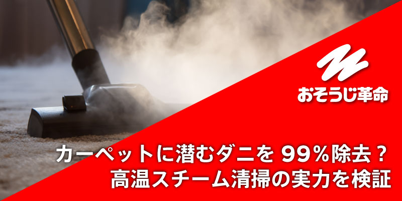 カーペットに潜むダニを99％除去？高温スチーム清掃の実力を検証