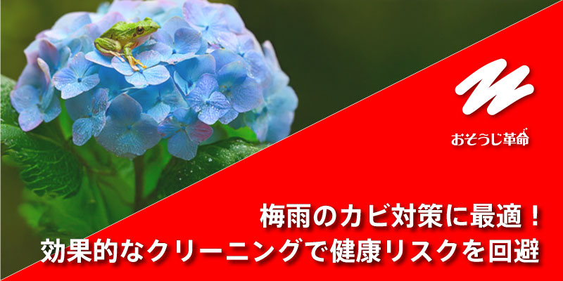 梅雨のカビ対策に最適！効果的なクリーニングで健康リスクを回避