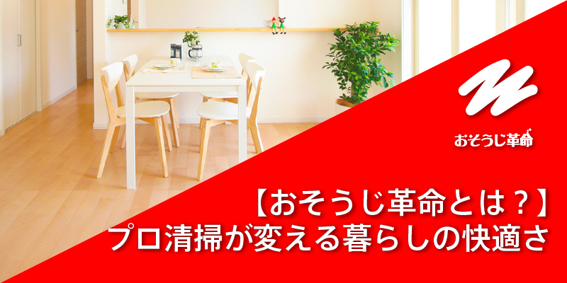 プロの清掃でどう変わる？清潔で住み心地の良い快適な家を作ります！