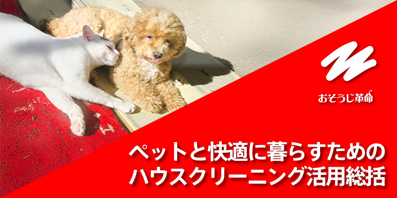 ペットと快適に暮らす！ハウスクリーニングを利用した体験談を紹介
