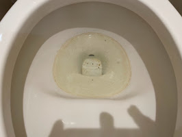 愛知県豊明市のトイレクリーニングの作業前3