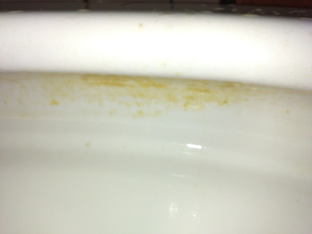 愛知県豊橋市のトイレクリーニングの作業前1