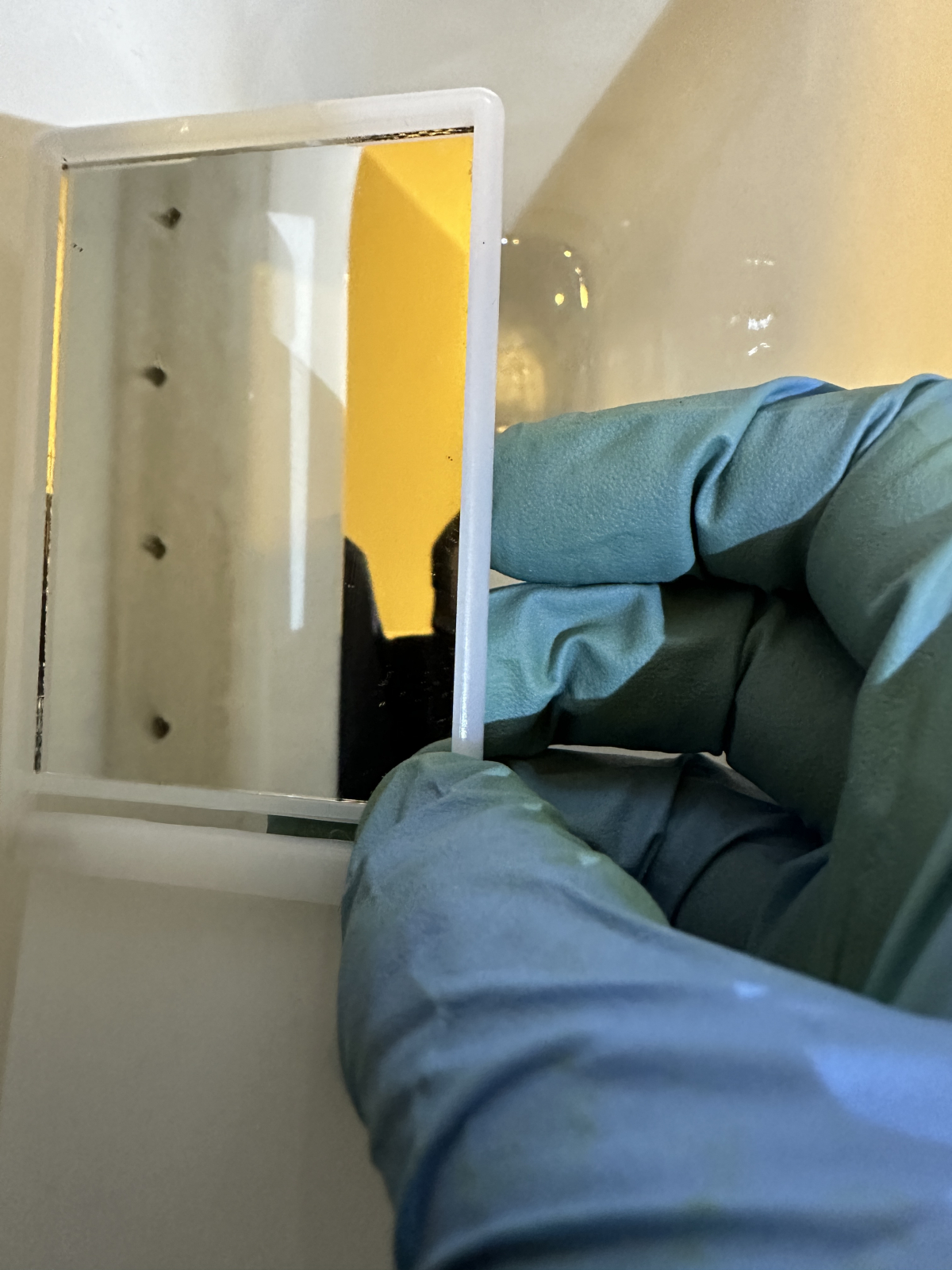 埼玉県春日部市のトイレクリーニングの作業後1