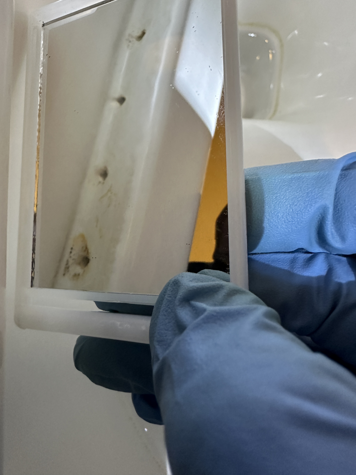 埼玉県春日部市のトイレクリーニングの作業前1