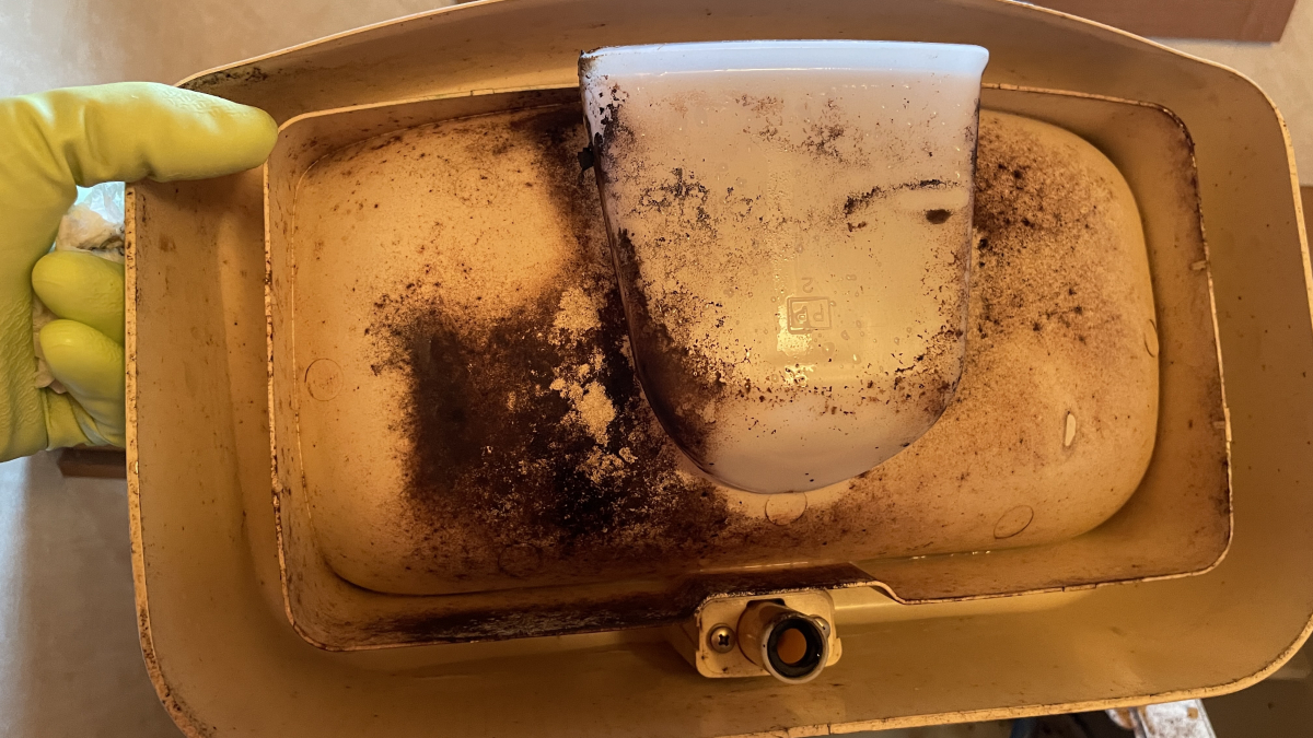 愛知県名古屋市西区のトイレクリーニングの作業前3