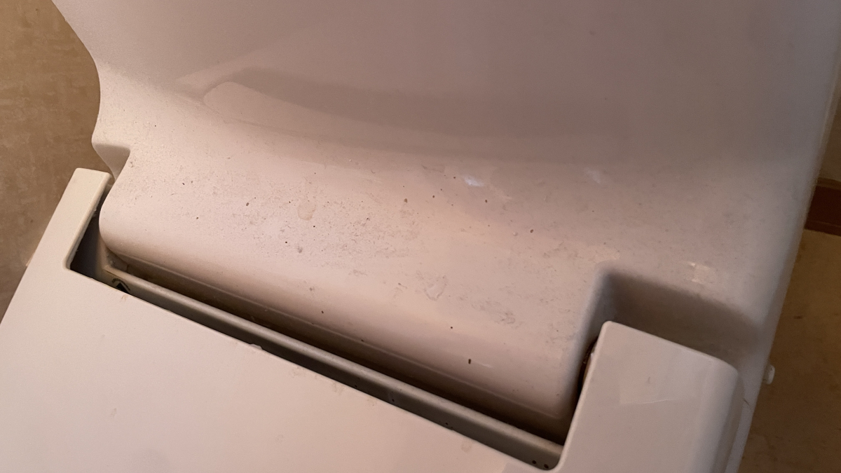 愛知県名古屋市西区のトイレクリーニングの作業前2