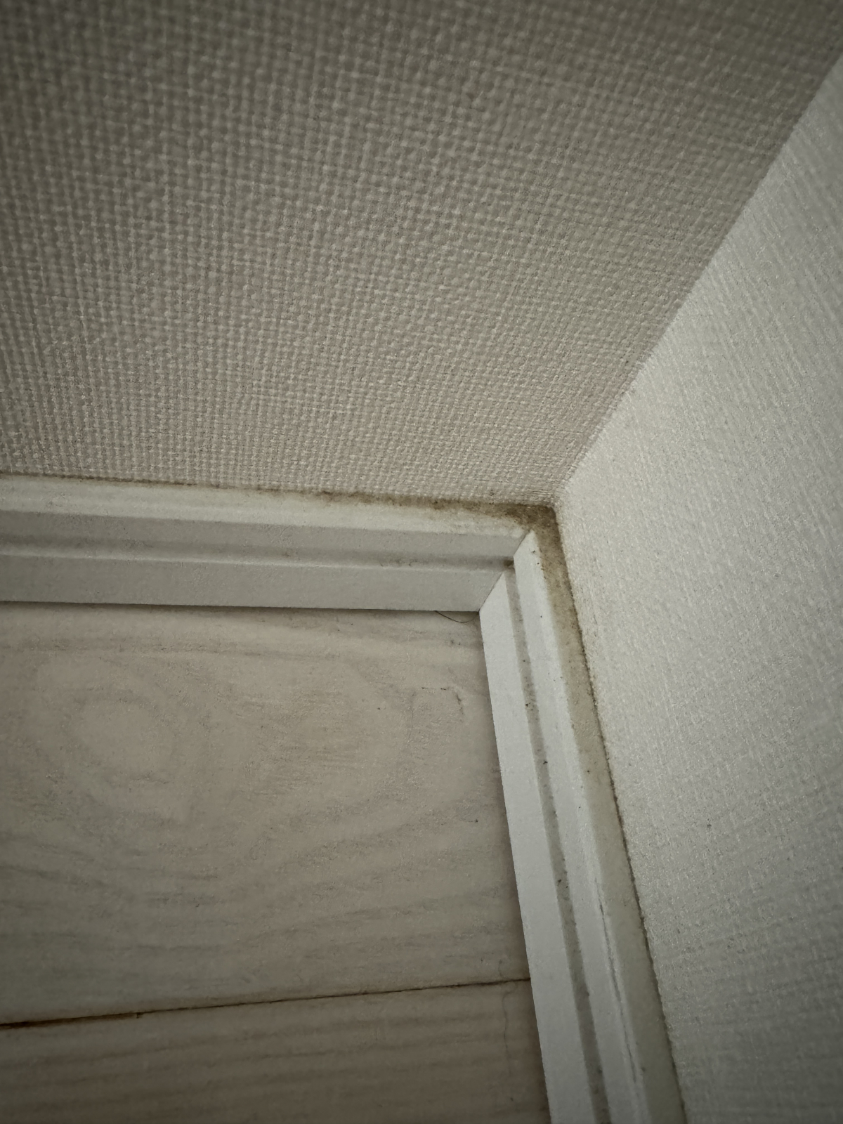 埼玉県三郷市のフローリングクリーニングの作業前1