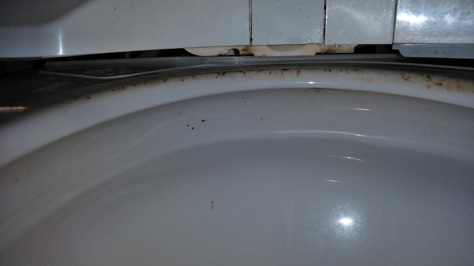 東京都日野市のトイレクリーニングの作業前2