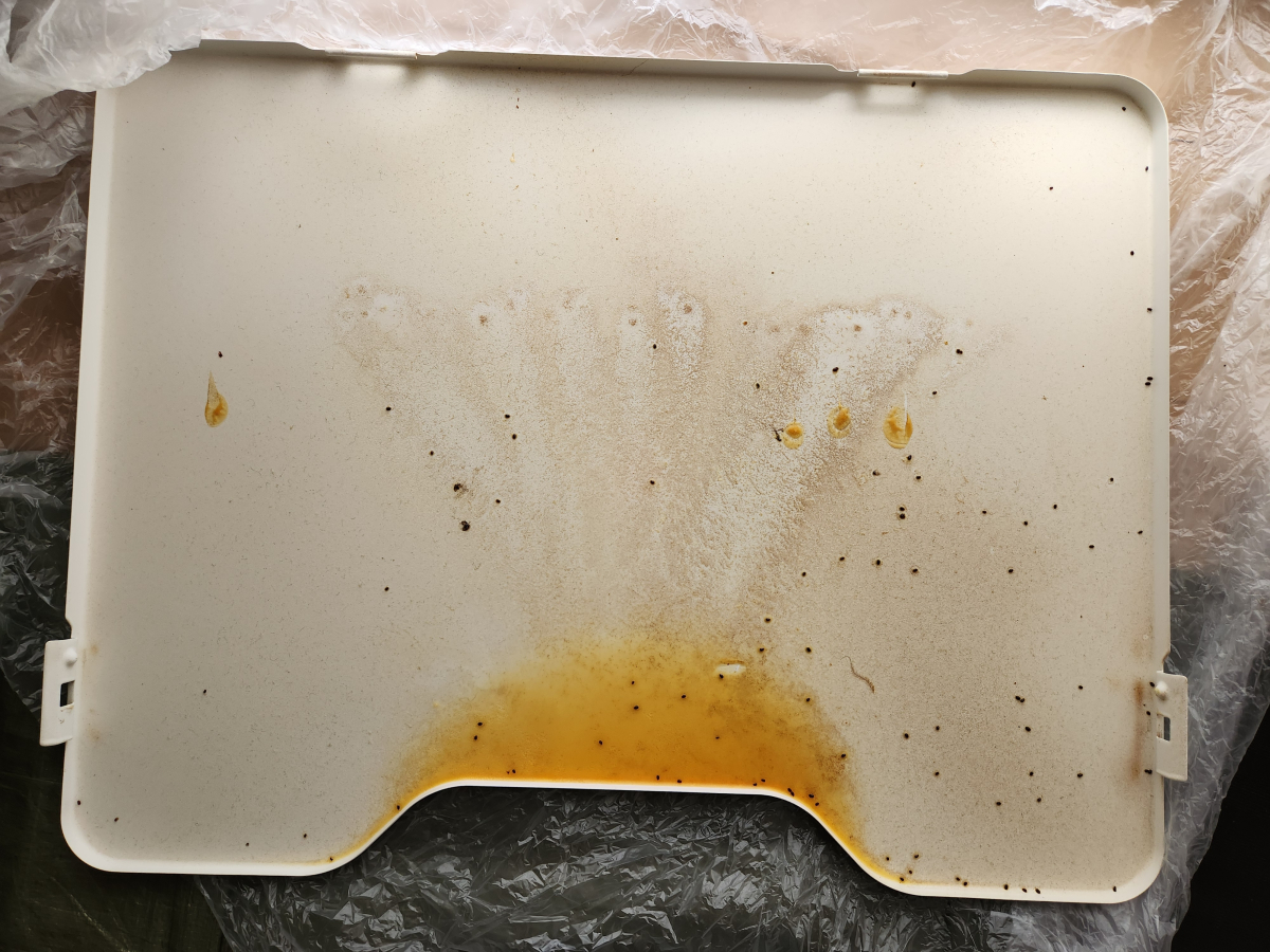 東京都東村山市のレンジフードクリーニングの作業前1