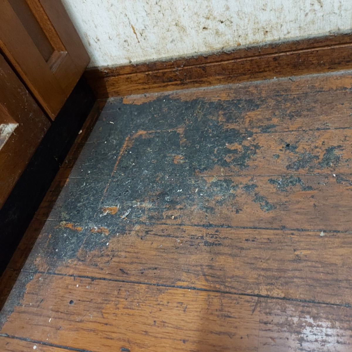 東京都西多摩郡瑞穂町の何でもわがまま定額サービスの作業前1