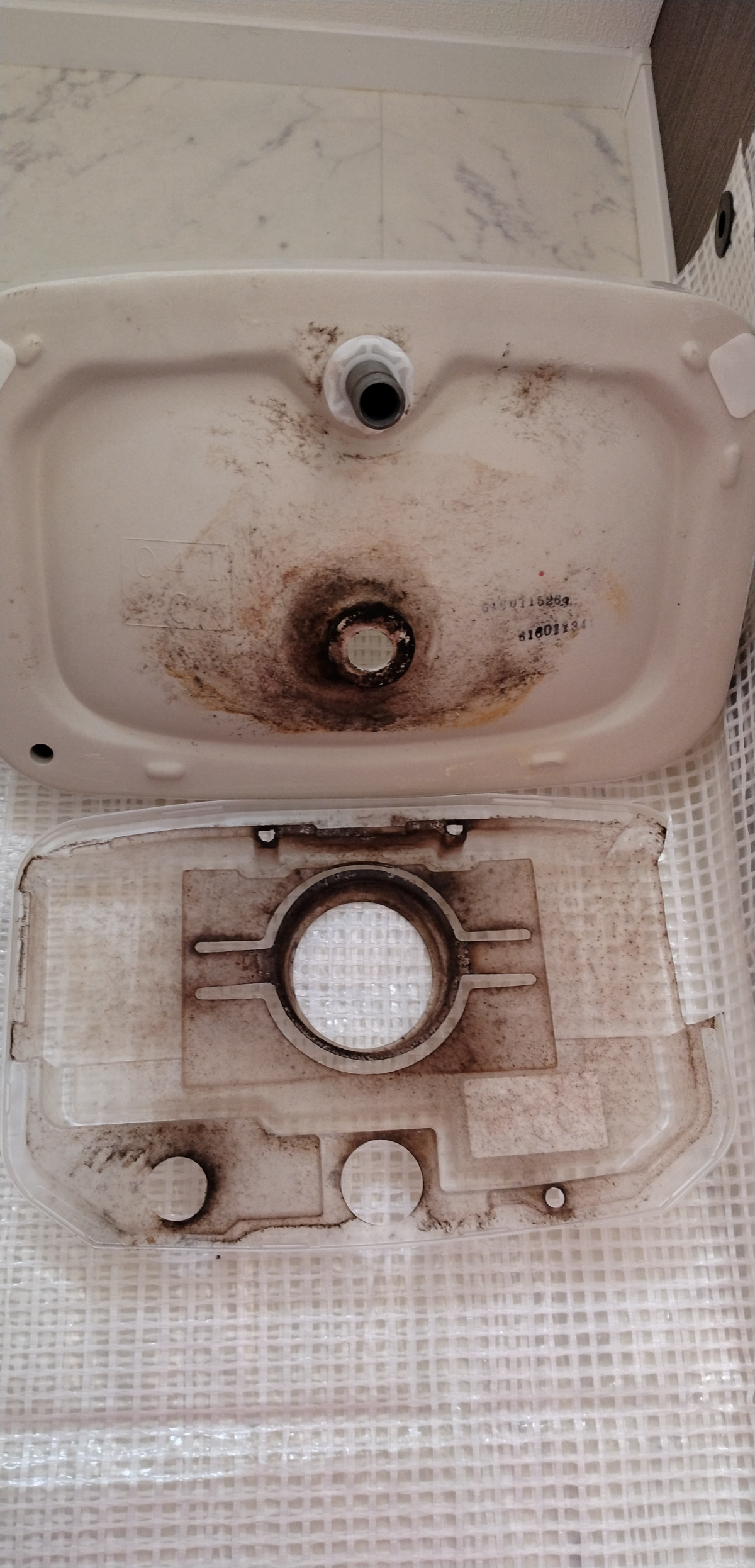 埼玉県さいたま市岩槻区のトイレクリーニングの作業前1