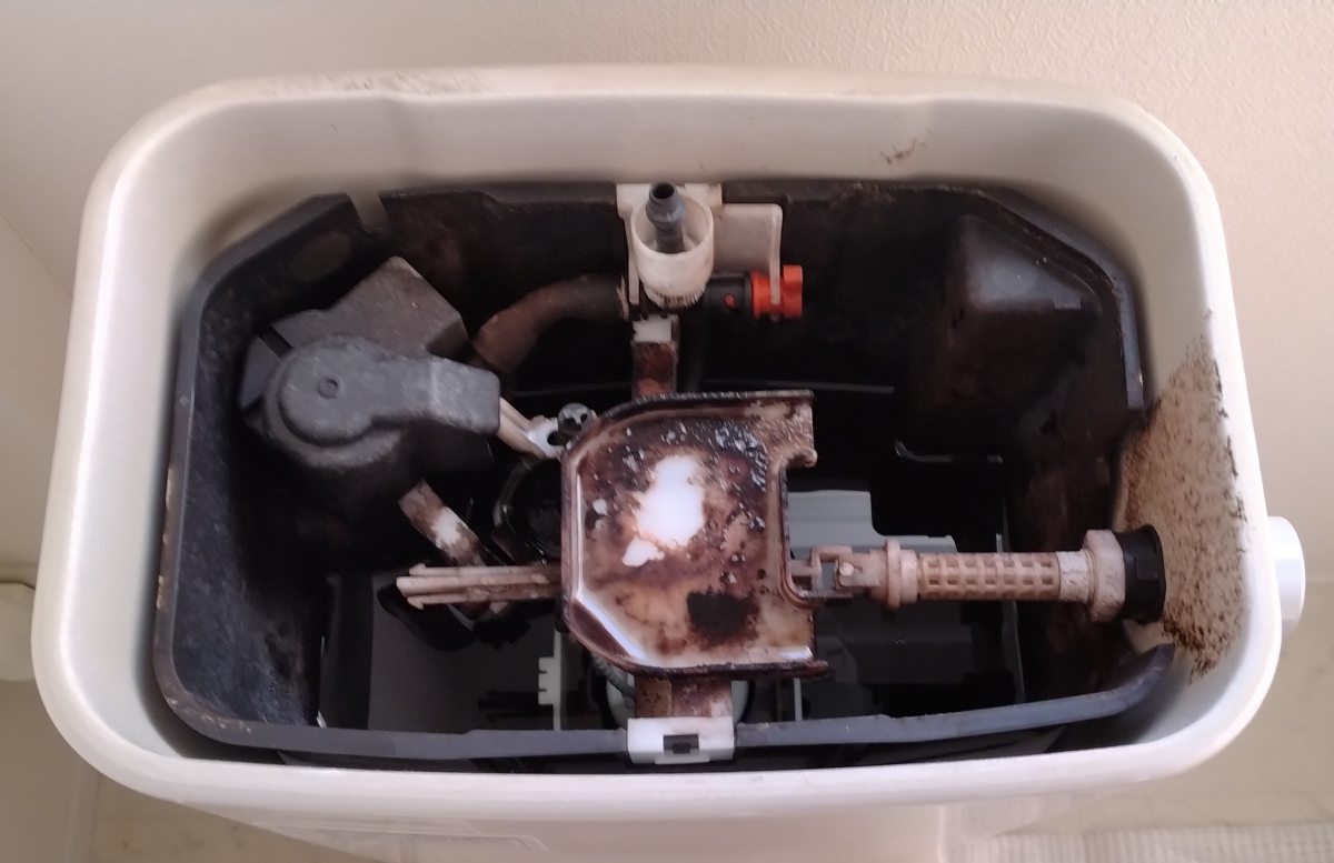 埼玉県さいたま市岩槻区のトイレクリーニングの作業前2