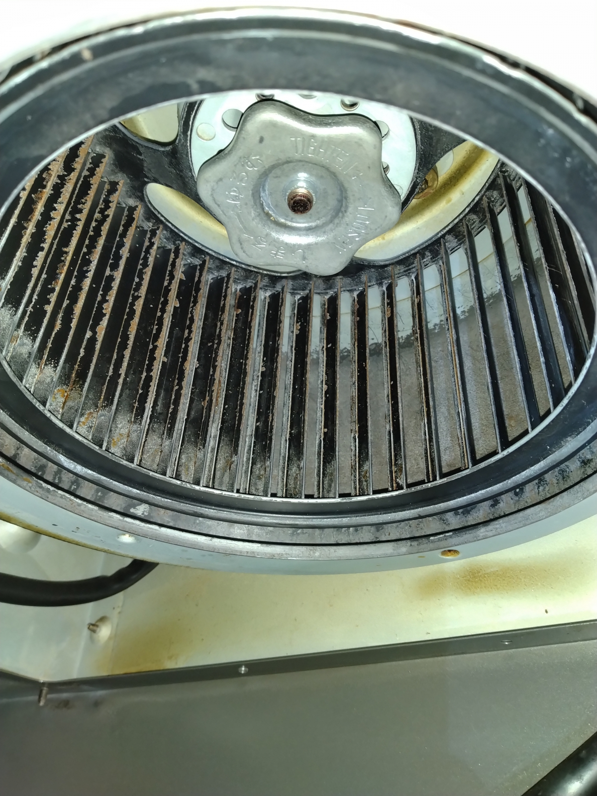 埼玉県さいたま市岩槻区のレンジフードクリーニングの作業後1