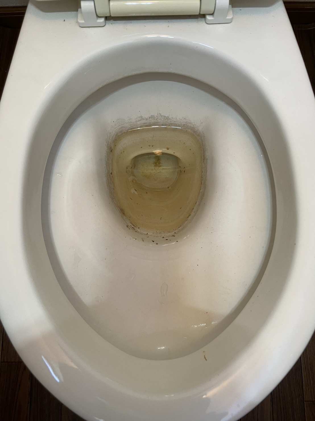 埼玉県久喜市のトイレクリーニングの作業前2