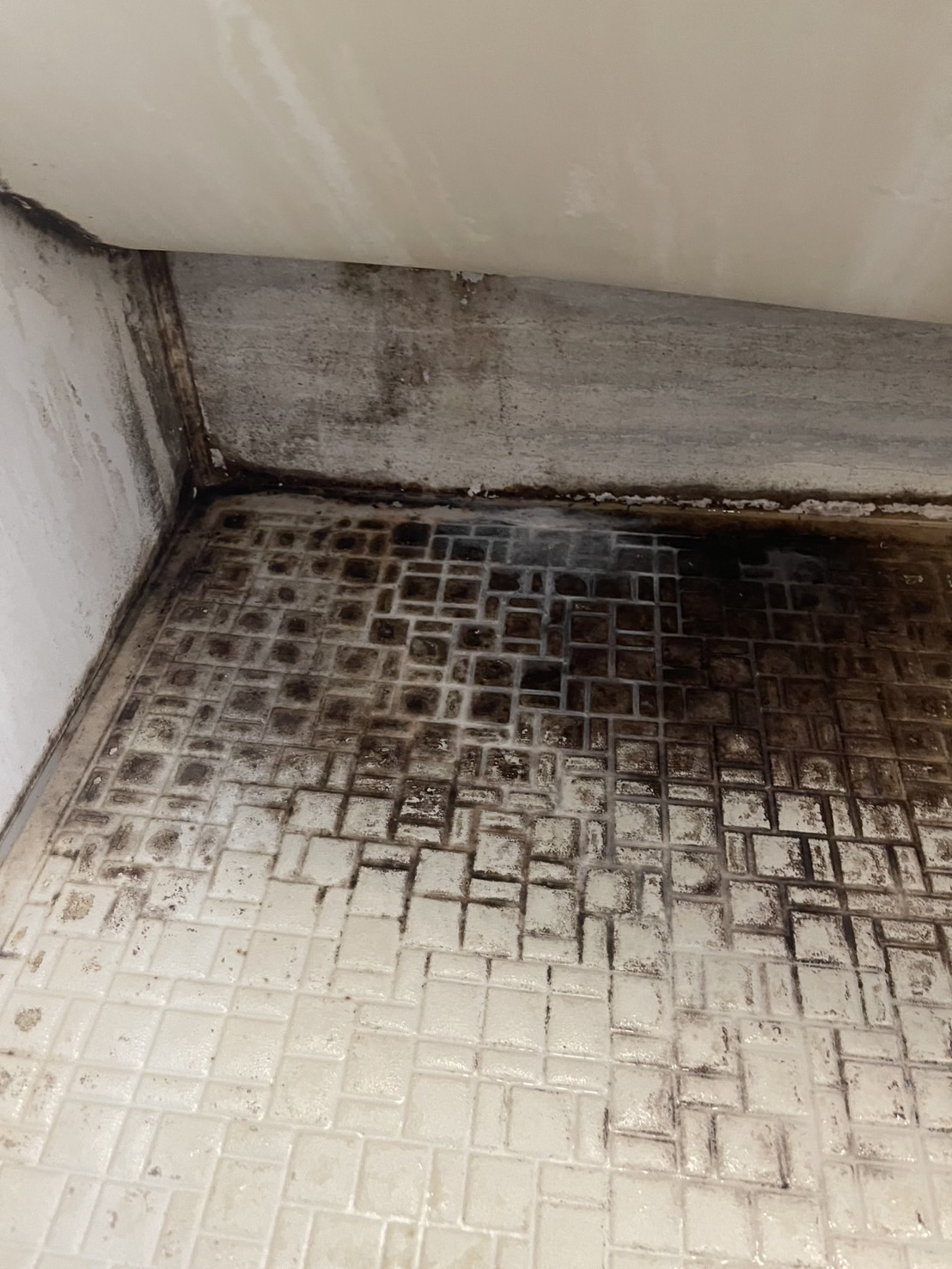 埼玉県久喜市の浴室・お風呂クリーニングの作業前2