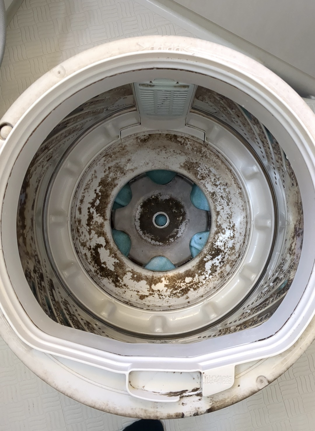 千葉県四街道市の洗濯機分解クリーニングの作業前1