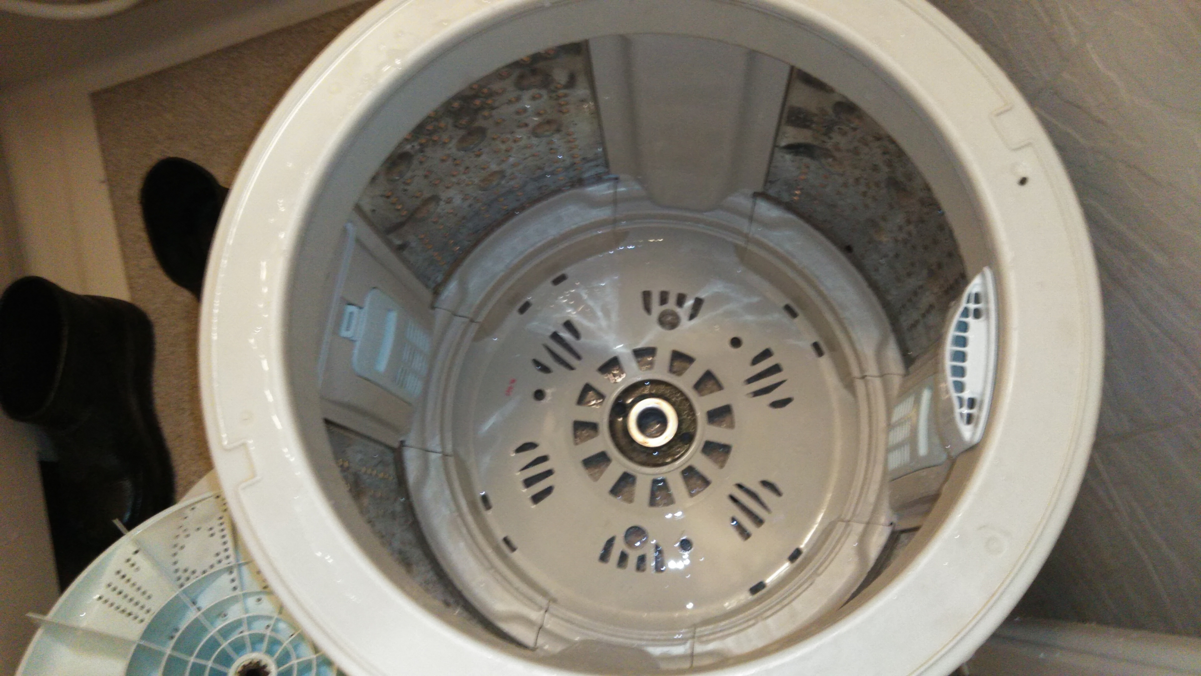 熊本県菊池郡菊陽町原水の洗濯機分解クリーニングの作業後2