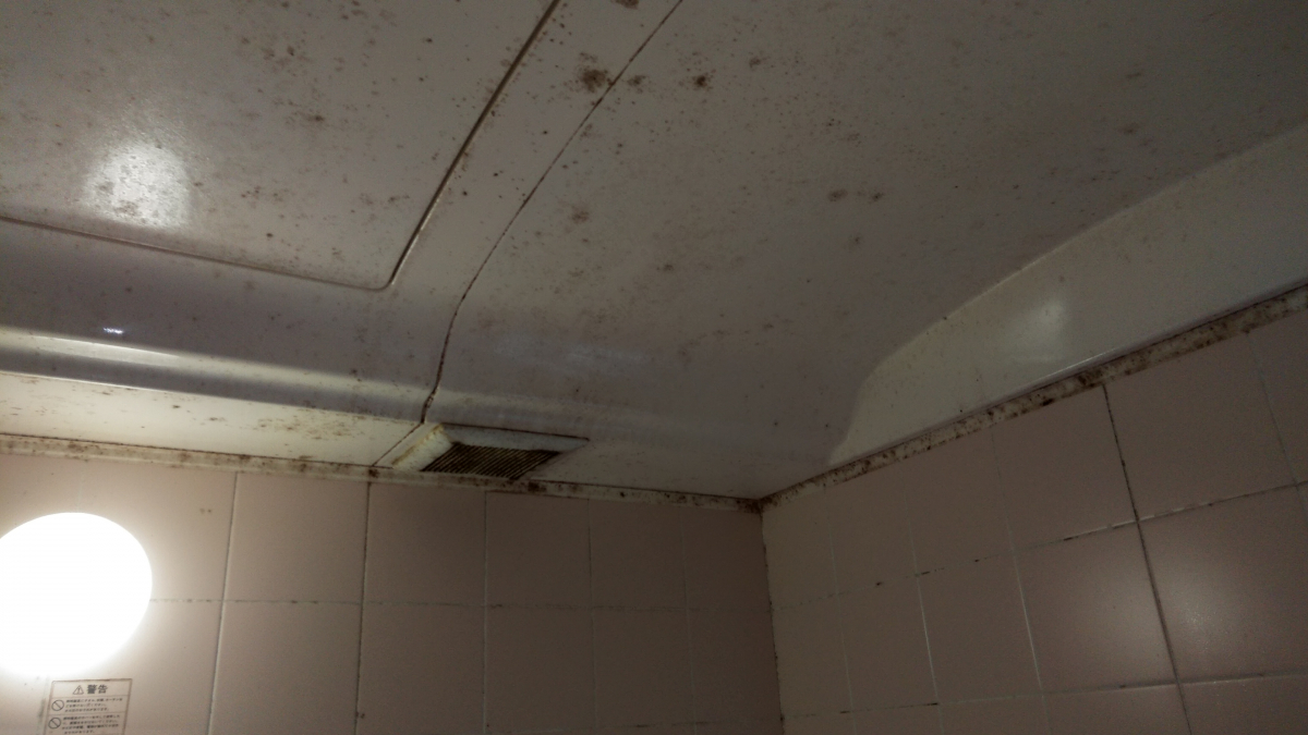群馬県太田市新田の浴室・お風呂クリーニングの作業前2