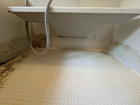 埼玉県向陽台の浴室・お風呂クリーニングの作業前1
