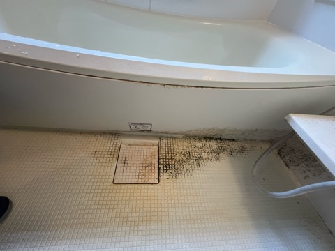 埼玉県向陽台の浴室・お風呂クリーニングの作業前2