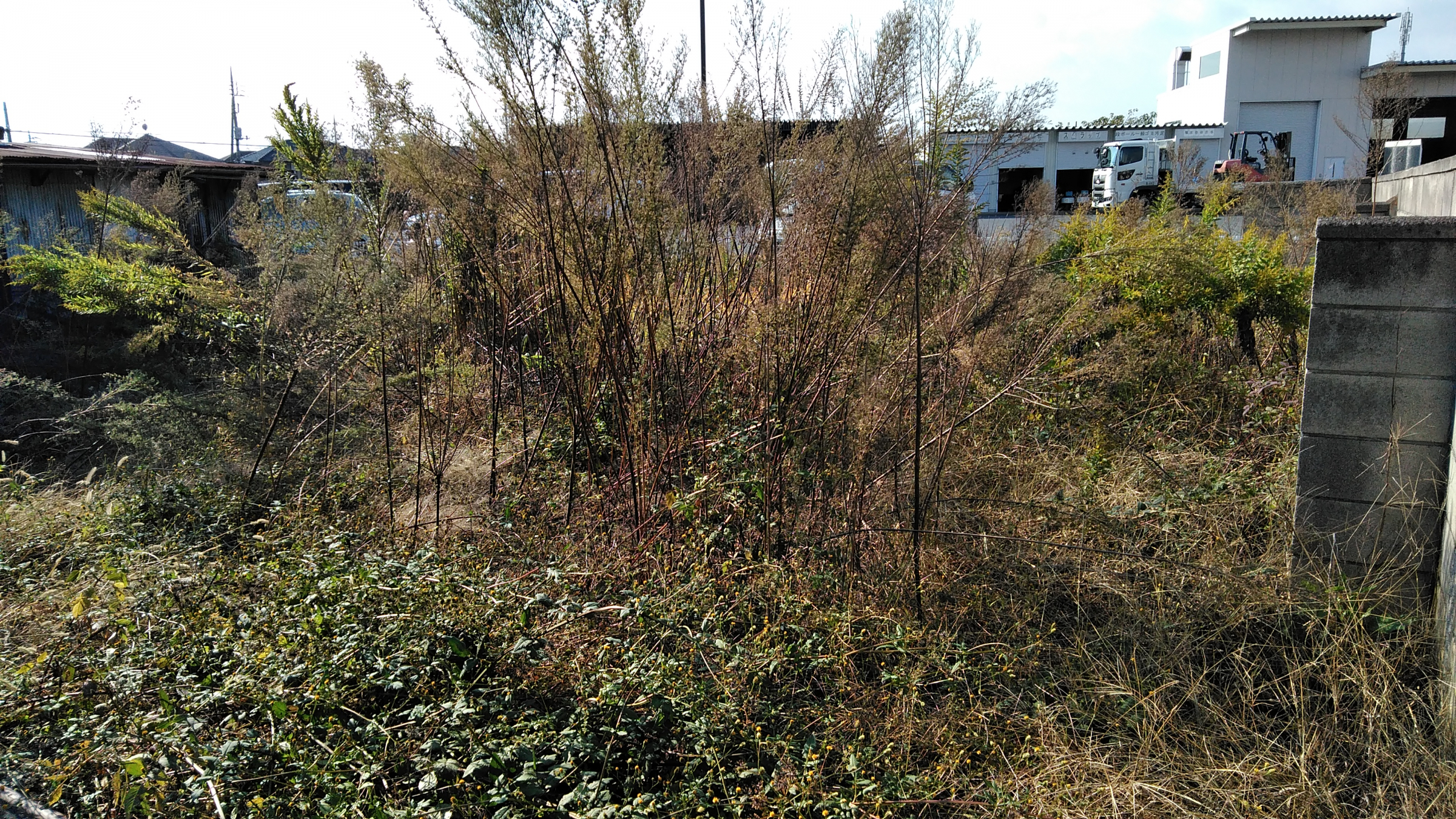 群馬県太田市龍舞町の何でもわがまま定額サービスの作業前1